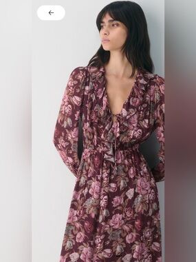 Aritzia Wilfred Bronte Dress XS Floral Midi Ruffle Chiffon Worn Once